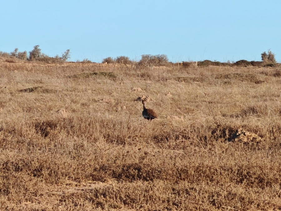 0 Bedroom Property for Sale in Langebaan Country Estate Western Cape